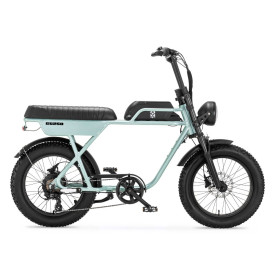 AGM GT250 V2 Fatbike. Vernieuwde versie. Kleur Parelmoer grijs.