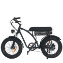 Windgoo F5 Fatbike 250w 25km per uur legaal