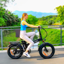 Windgoo F21 Pro e-bike